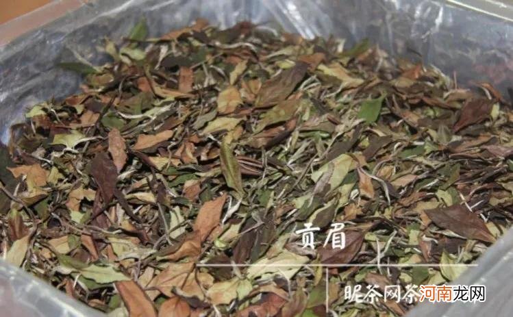 茶叶初级入门知识