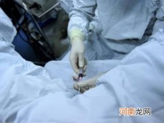 “造人”不成功怎么办 人工受孕要多少钱