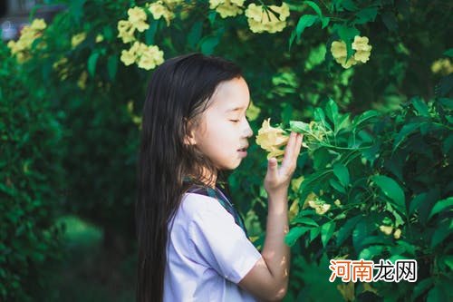 2022年虎年出生带诺字的女孩名字大全 充满古风韵味的名字解释