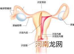 泡不洁温泉或致输卵管炎