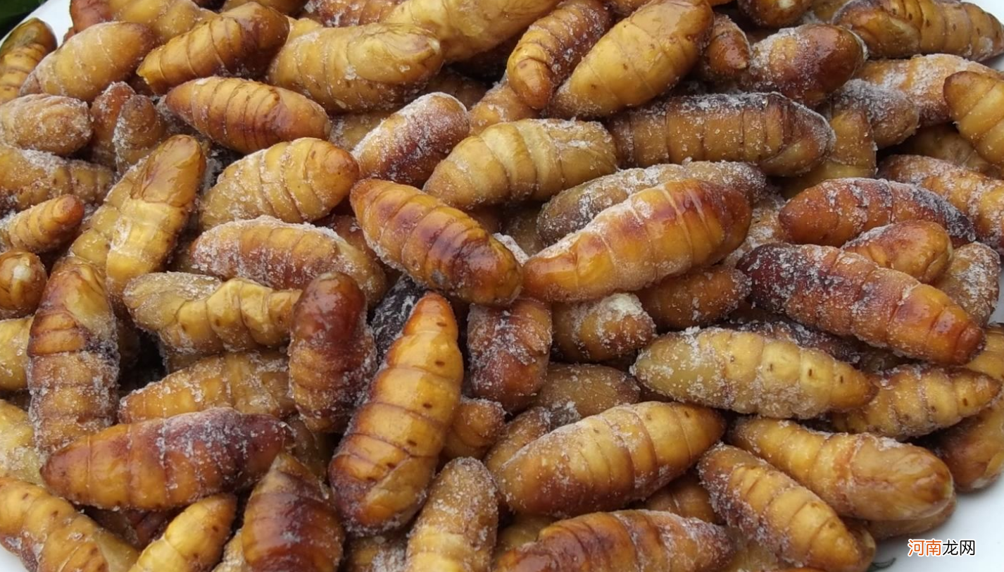 蚕蛹5种最好吃的做法 茧蛹的家常做法大全