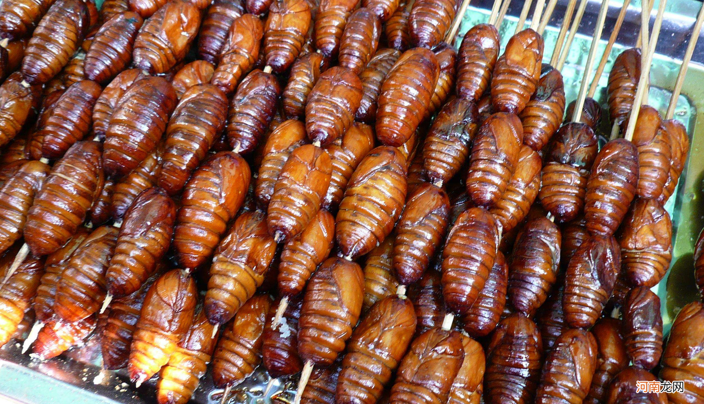 蚕蛹5种最好吃的做法 茧蛹的家常做法大全