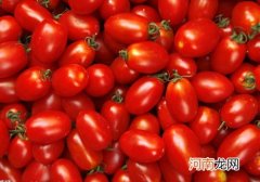 多吃番茄花菜葡萄籽可降低雾霾对生育力影响
