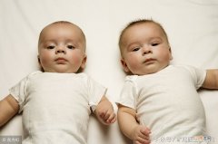 双胞胎的形成原理是什么 双胞胎是怎么形成的是怎么怀上的
