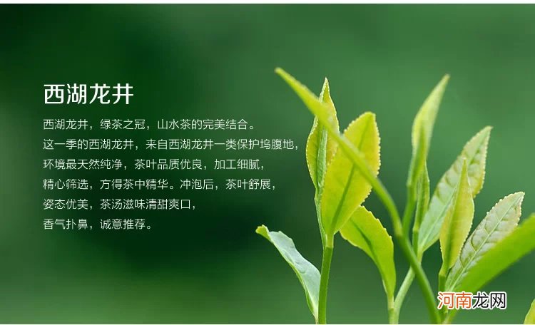 绿茶之冠——西湖龙井