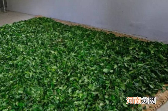 绿茶制作工艺流程 绿茶的制作过程