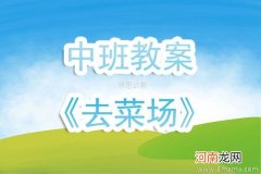 大班音乐菜场教案反思