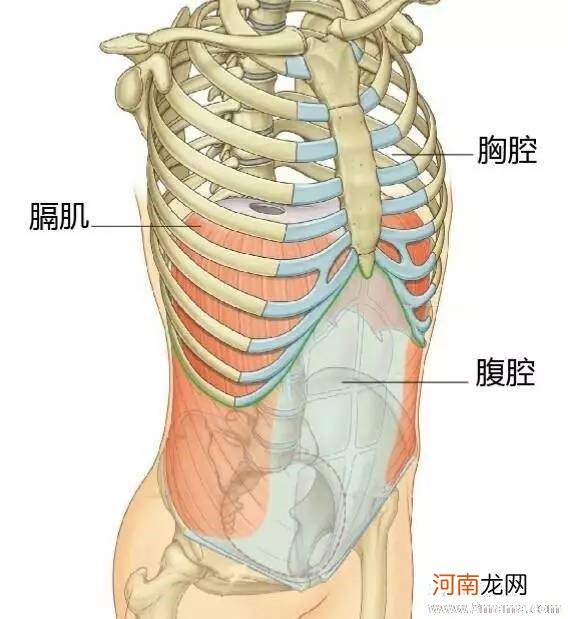 孕晚期肋骨痛怎么缓解