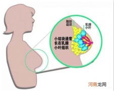 乳腺结节怎么调理能消失