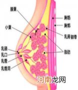 乳腺纤维瘤有溢液现象