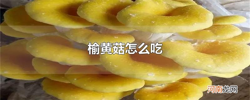 榆黄菇怎么吃