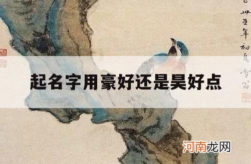 起名字用豪好还是昊好点_昊可以用来取名字吗