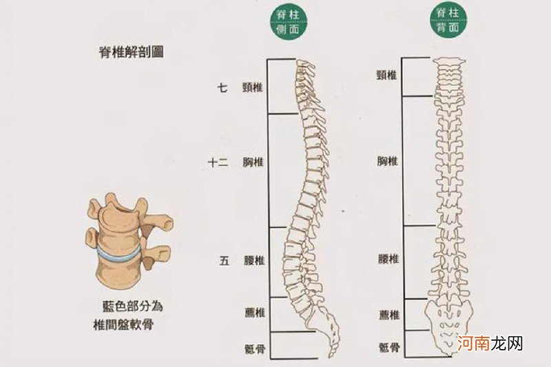 婴儿什么时候可以枕头型（宝宝成长规律多大可以用枕头)