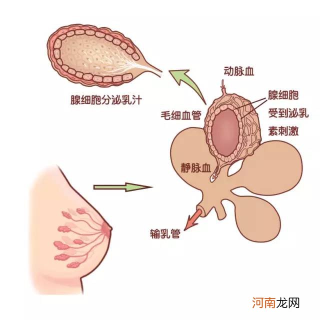 乳腺炎如何排空硬块