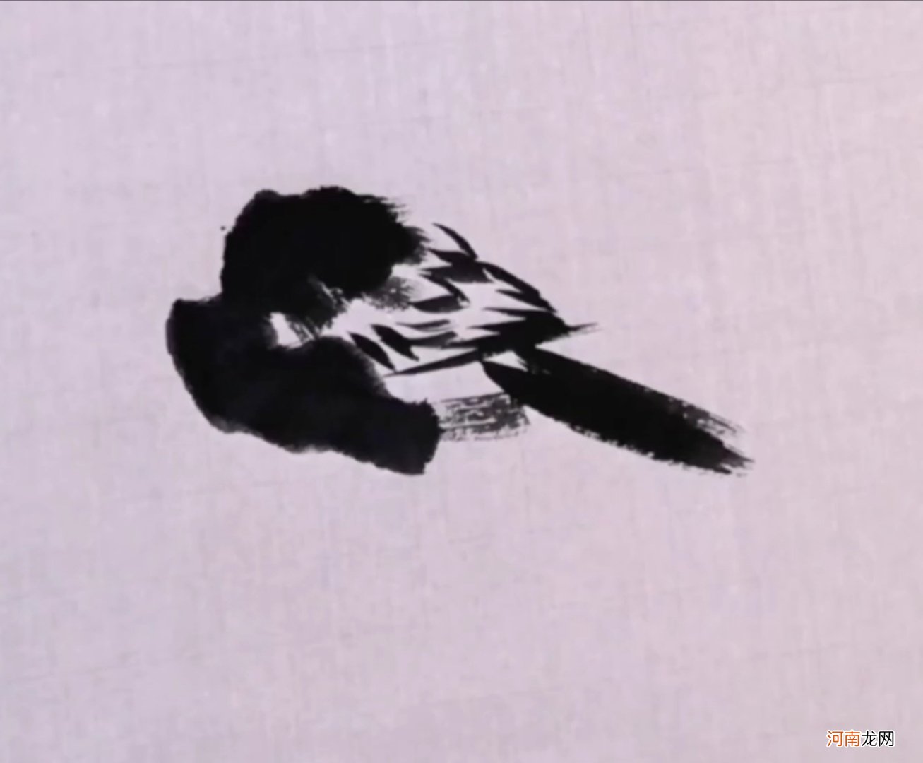 国画写意水墨鸟技法 水墨动物画教程