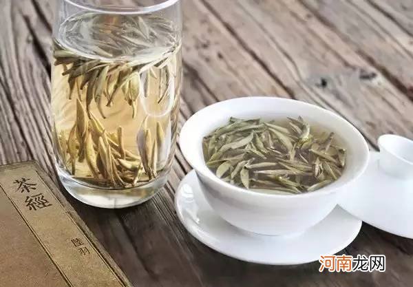 白茶属于热性茶还是凉性茶