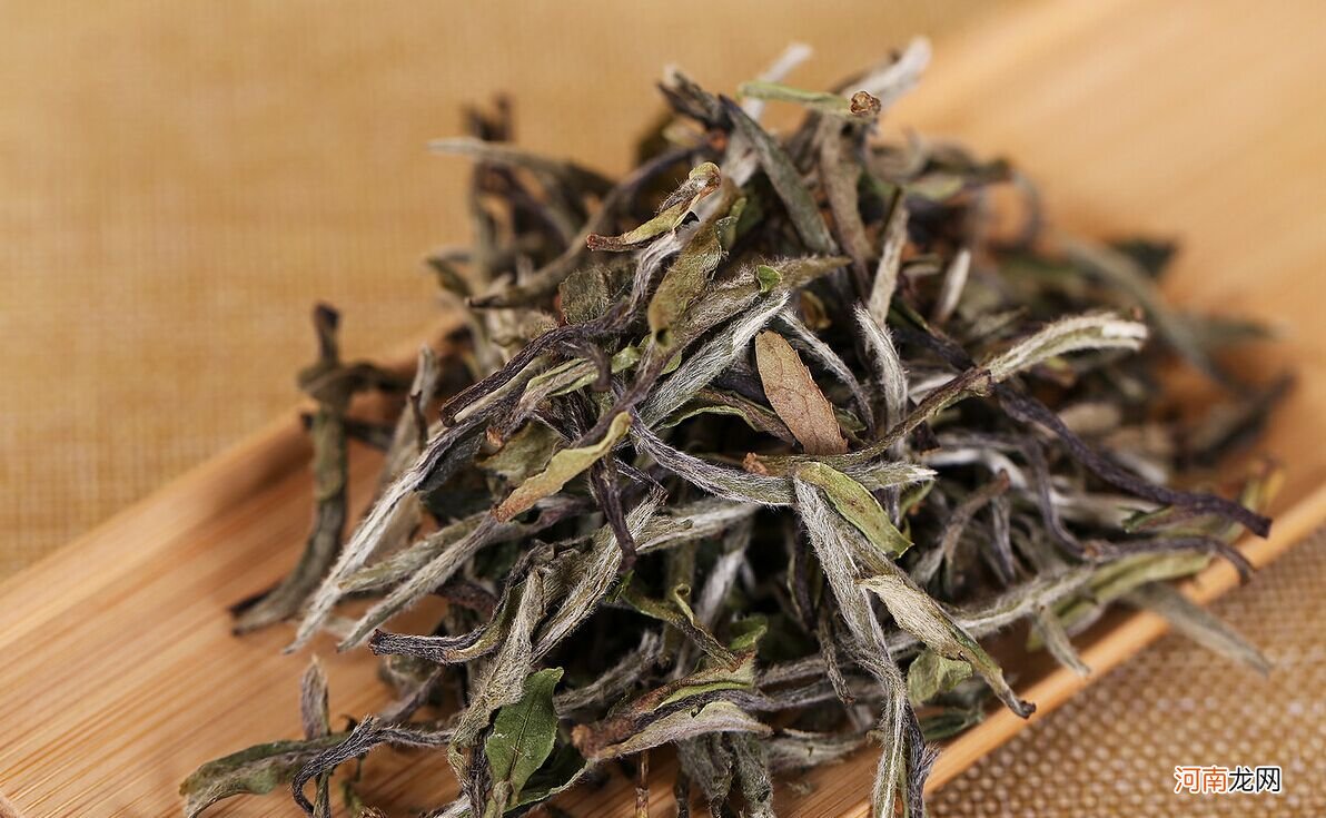 白茶属于热性茶还是凉性茶