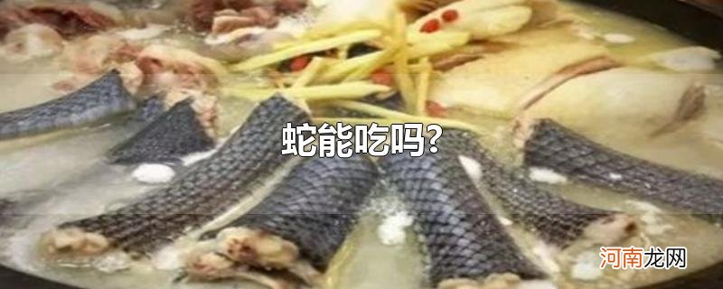 蛇能吃吗?