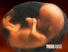 孕妈呼吸困难宝宝会缺氧吗 胎儿如何呼吸