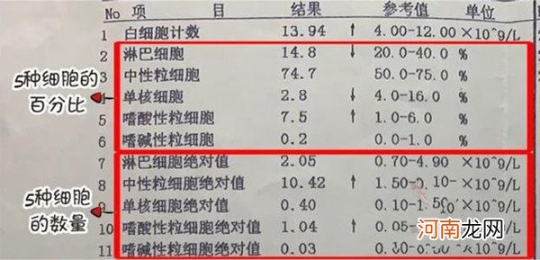 已生男宝中性粒细胞数值参考 答案出乎人意料！