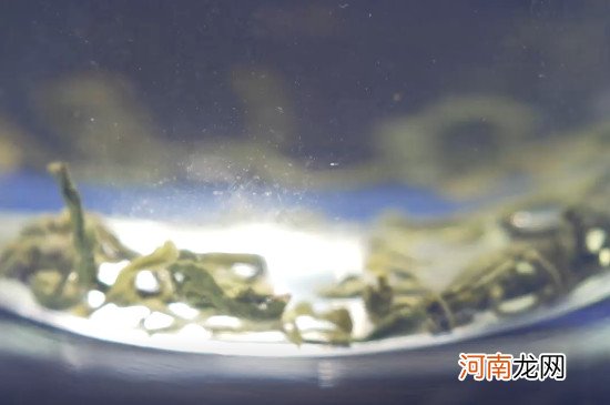 绿茶属于发酵茶还是不发酵茶