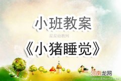 小班音乐小猪睡觉教案反思