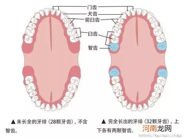 孕晚期智齿疼的厉害