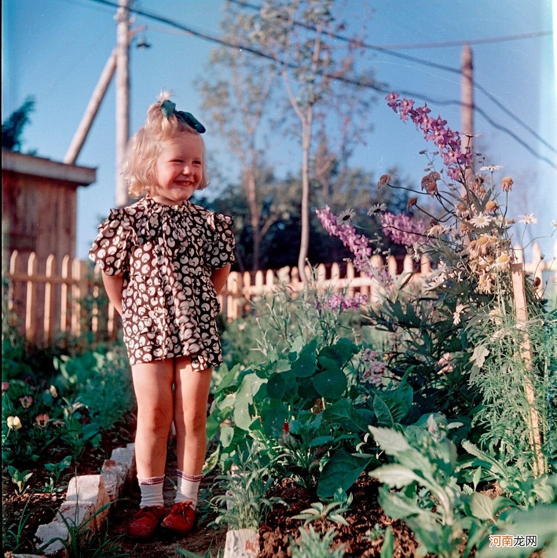 老照片 50年代乌克兰的小朋友 幸福的成长