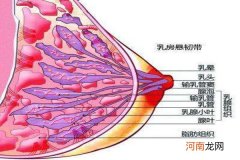 乳腺淋巴堵塞症状