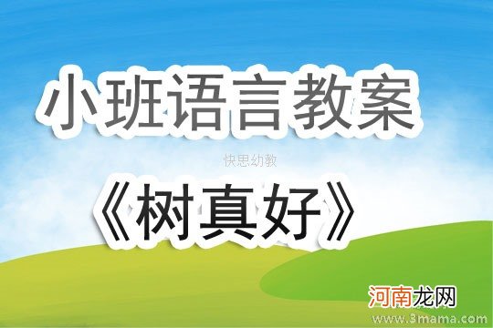 大班语言活动散文《听雨》教案反思