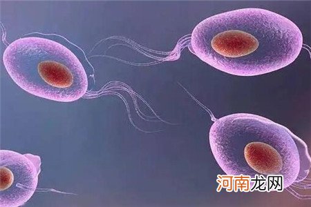 滴虫性阴炎的主要症状是什么，注意四大表现