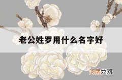 老公姓罗用什么名字好_姓罗起什么名字好