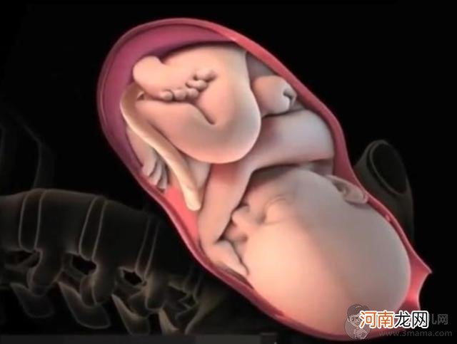 顺产全过程：新生儿降临人世，从来都不是件容易的事 - 顺产