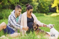 怀孕7个月能养狗吗 怀孕期可以养狗吗
