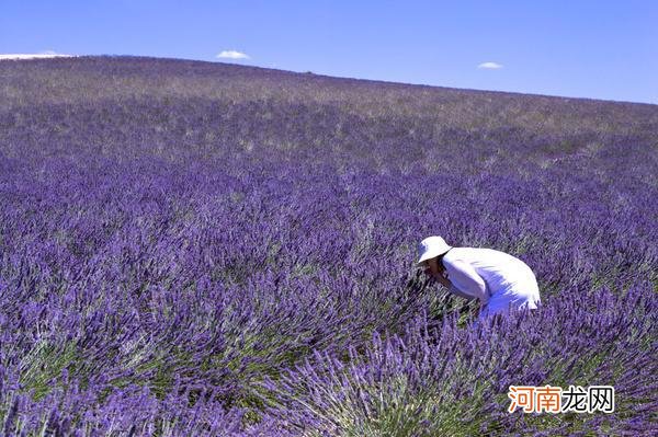 悲伤的图片唯美冷漠 强颜欢笑的伤感图片