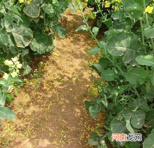 孕期预防先兆流产注意8点