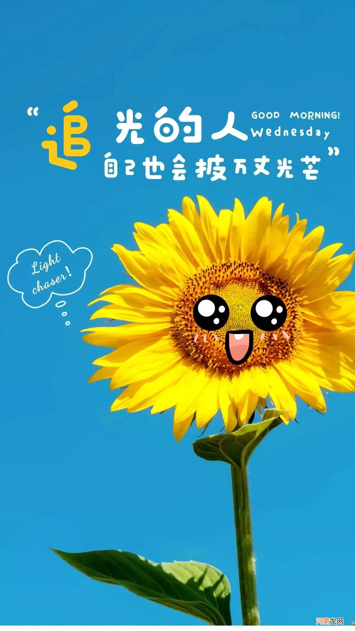 有向日葵的经典短句 像向日葵一样充满阳光励志
