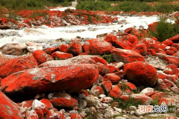 哪里有红色的石头 红石滩的石头为什么是红色的