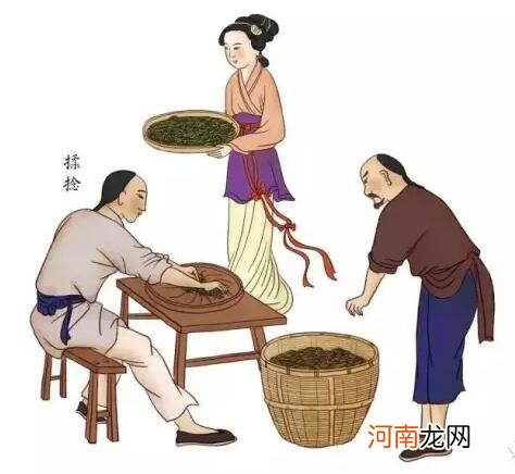 祁门红茶传统手工制作流程图 纯手工红茶的制作过程图片