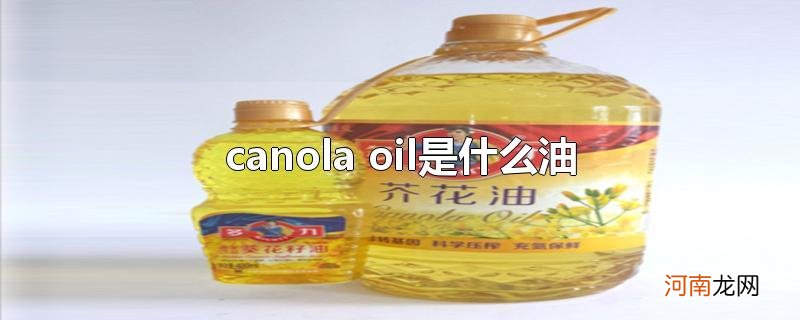 canola oil是什么油