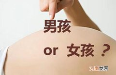 胎梦蛇是男孩还是女孩 多名网友的亲身经历告诉你