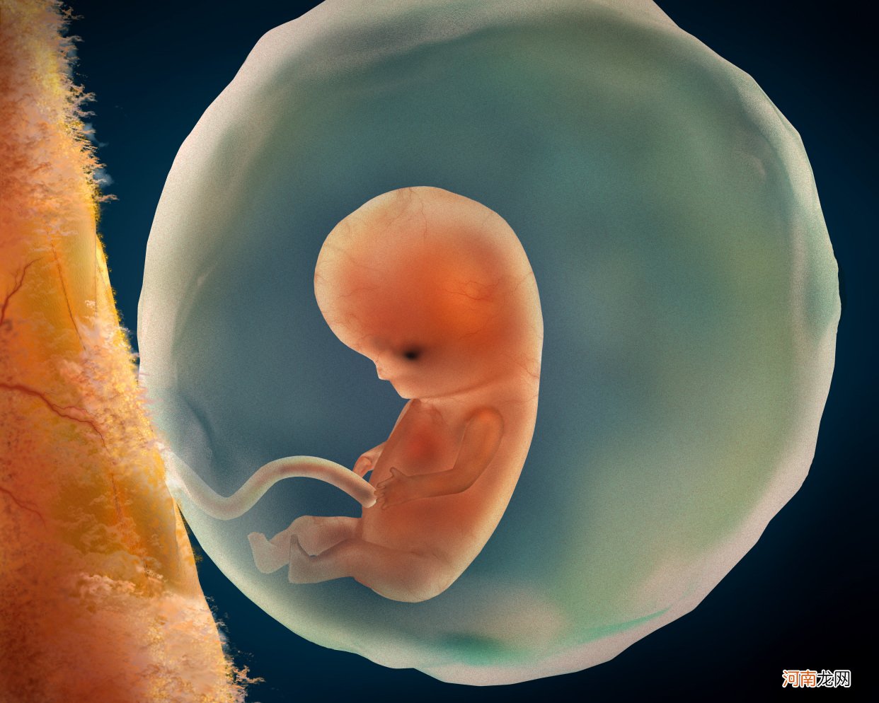 怎样会造成胎儿缺氧 胎儿缺氧是什么原因造成的