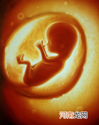 胎儿在子宫里鲜为人知的“小资生活”