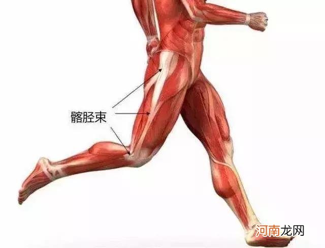 大腿内侧的软肉怎么减