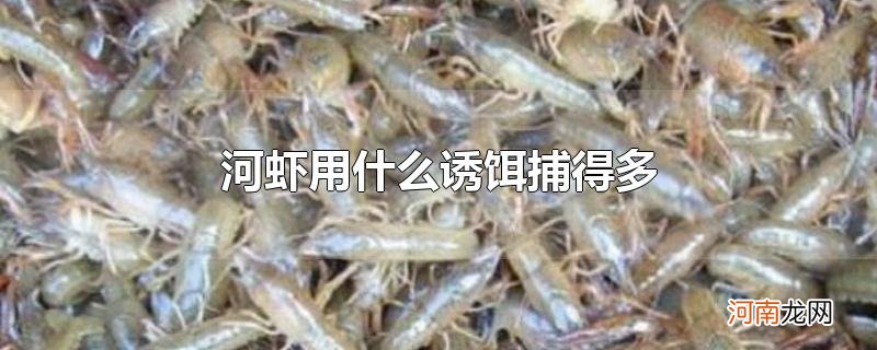 河虾用什么诱饵捕得多