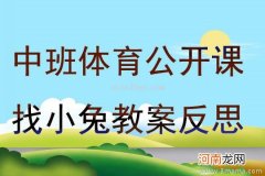 中班语言活动小兔家的窗教案反思