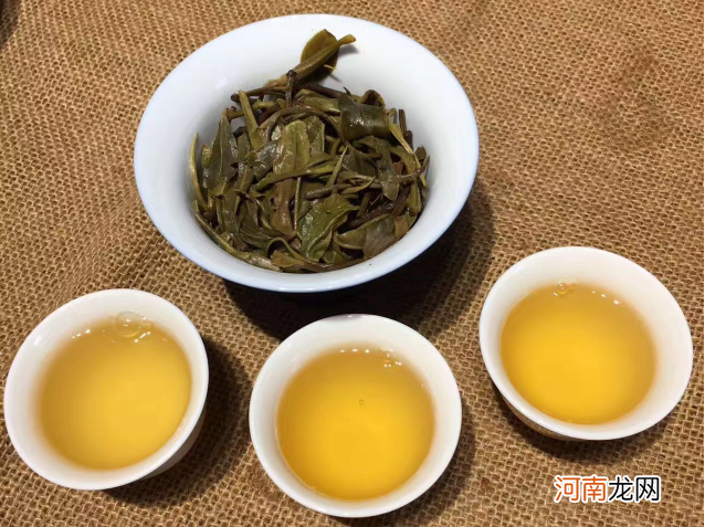 云南普洱茶山头莽枝介绍及特点 莽枝古树茶特点