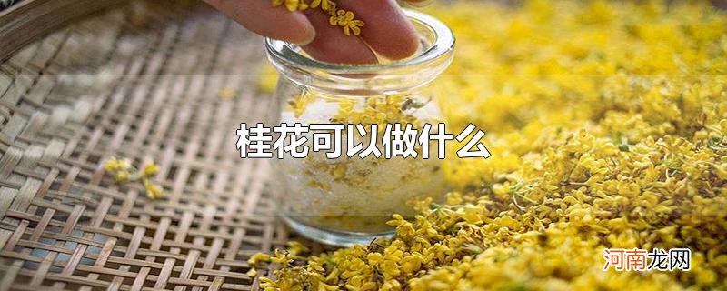 桂花可以做什么