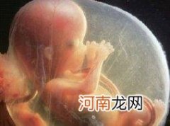 胚胎发育过程：图解人类认识胎儿发育全过程