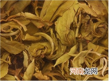 喝菊花茶的禁忌 哪种菊花茶去火最好